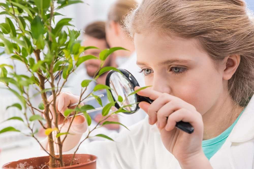 Teaching Science Using Phenomena - Dr. Jan's Math & Science Lab